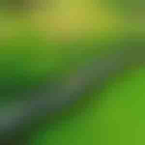 Akmens izskata dārza apmale (10 gab.) | MINIFENCE