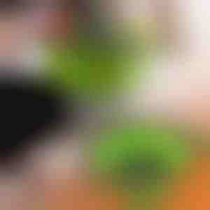 Silikona sieti (2 gab.) | FOLDRAIN