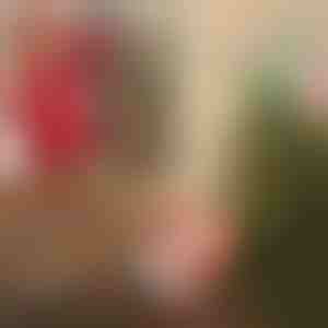 Ziemassvētku vecītis ar izpletni | SANTASWING