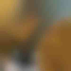 Zaru apgaismojums | BRANCHLUMOS