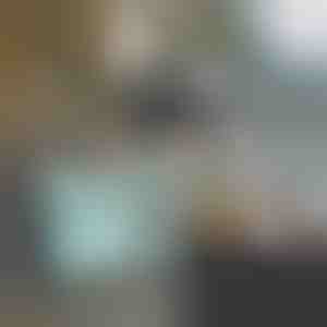 Daudzfunkcionāli ratiņi | CARRYMAX