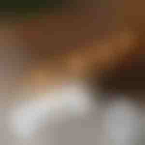 20x pašlīmējoši klipši gaismu montāžai | CORDCLIP