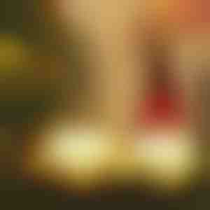 Spīdošs Ziemassvētku elfs | GNOMEK