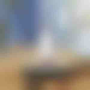 Pašizspiedošs mini mops | HANDYMOP