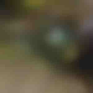 Salokāma ķerra | TROLLYFOLD