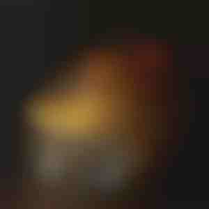 Mājdzīvnieku hidratācijas strūklaka | PETSPRINGLE