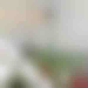 Regulējams eglītes galotnes stabilizatora stienis | STABLESTAR