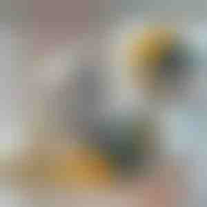 Izturīgs cauruļu atvēršanas urbju komplekts (3 gab.) | PIPEDRILL