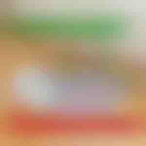 Atkārtoti lietojami, necaurlaidīgi kucēnu paliktņi | PAWSORB