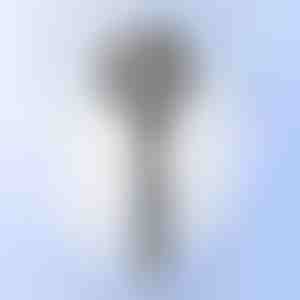 Daudzfunkcionāla masāžas duša | SHOWERELAX